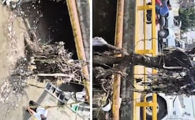 Retiran tapón de basura en Río Hondo; reportan 70 por ciento de avance en los trabajos