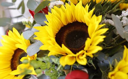 ¿Cuál es el significado de que te regalen flores amarillas este 21 de marzo?