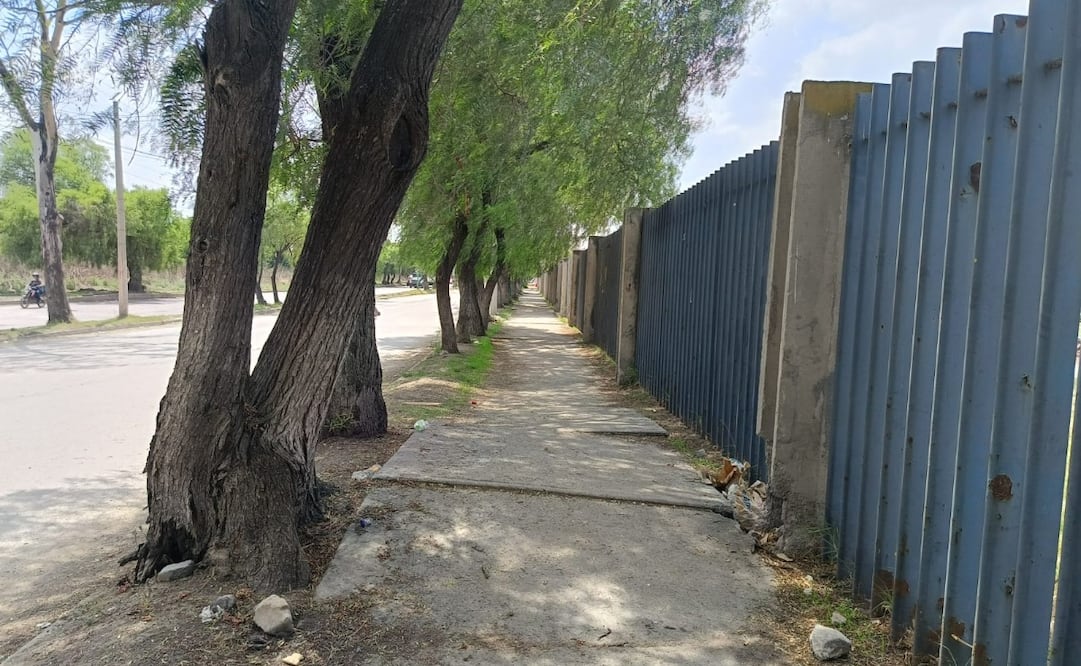 Las vialidades industriales que rodean la FES Cuautitlán presentan baches profundos y falta de banquetas adecuadas para los alumnos. Foto Gisela González / El Universal
