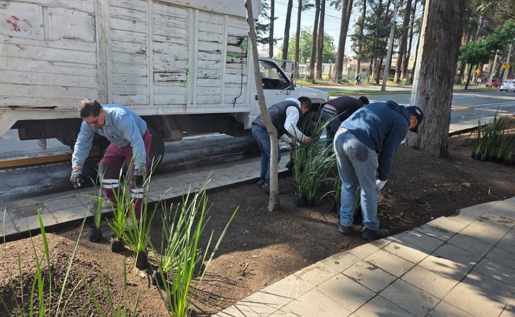 Elementos de Sustentabilidad Vial y Seguridad Pública trabajan en la recuperación de carriles de circulación y el control del comercio informal. Foto Especial