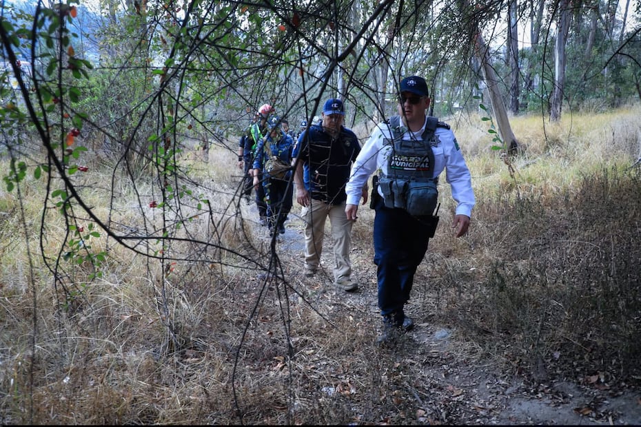 La Dirección de Medio Ambiente confirmó que, tras el exhaustivo rastreo, no se localizó ningún animal salvaje que represente riesgo para la población. Foto Especial