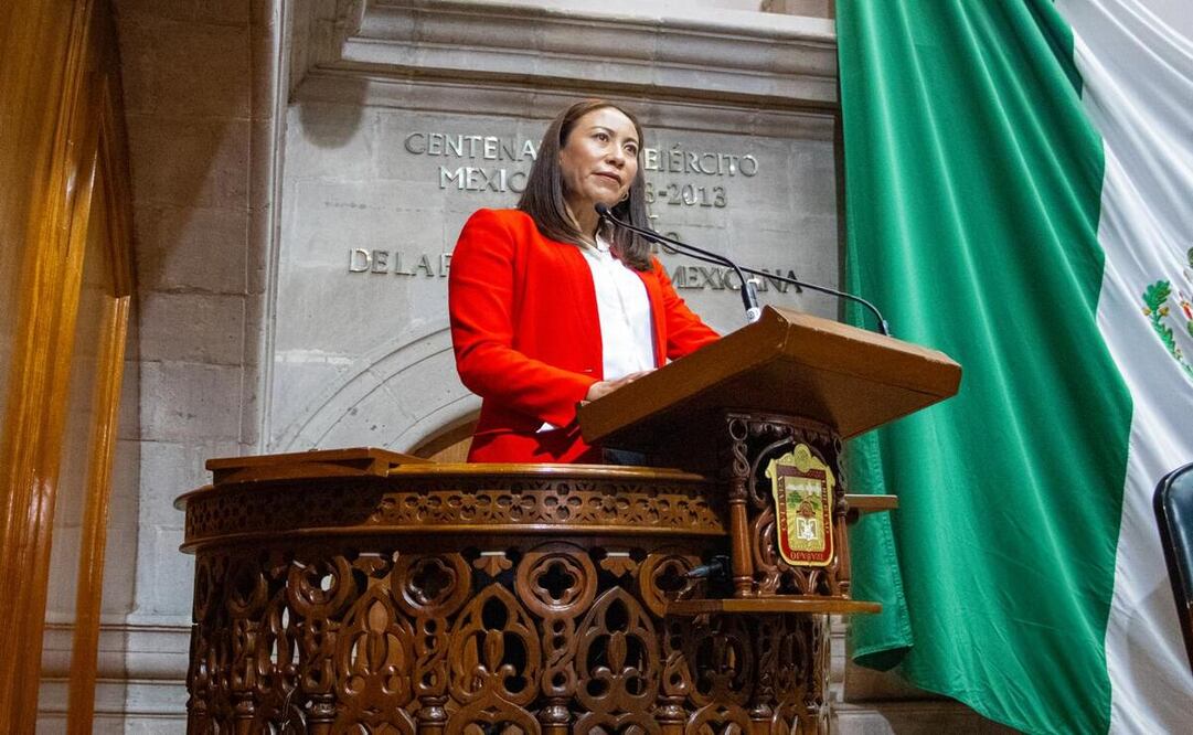 Leticia Mejía, diputada del PRI / Foto Especial