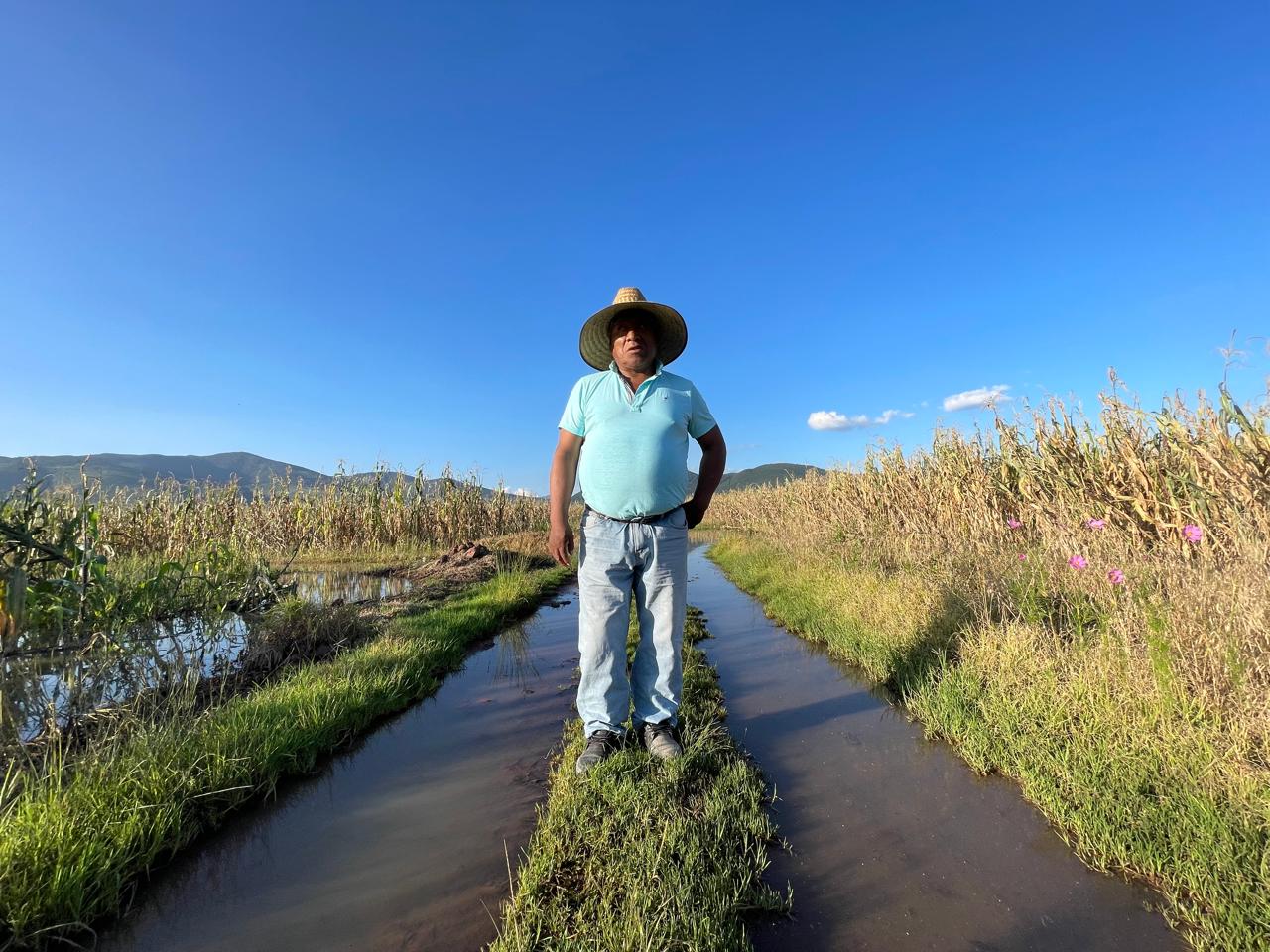 En el municipio de Ixtlahuaca, el impacto es particularmente severo en los cultivos agrícolas. Foto: Especial