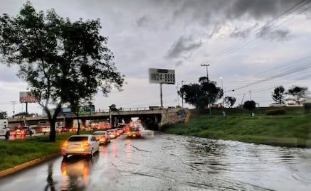 Lluvia intensa genera caos vial en Cuautitlán Izcalli y caída de un árbol