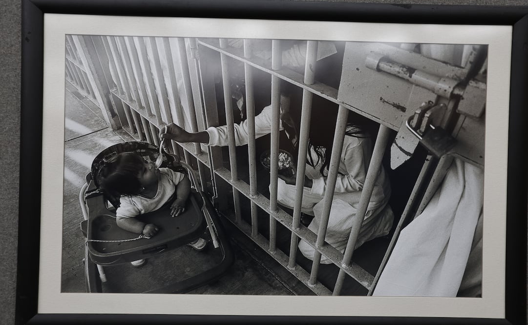 Uno de los temas que aborda la muestra es la maternidad de las reas / Foto Jorge Alvarado