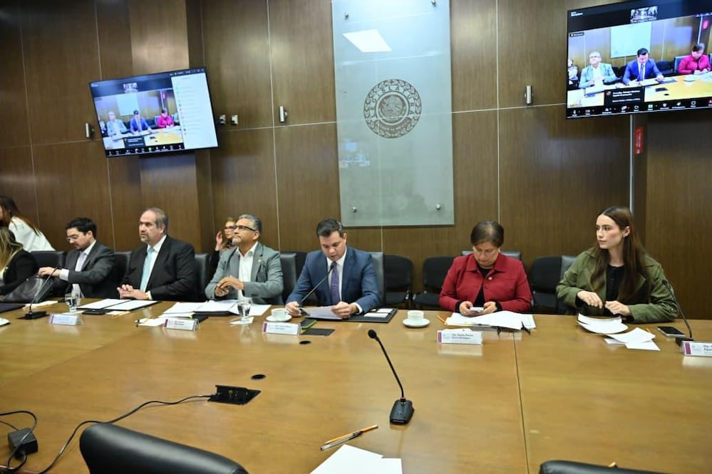 La iniciativa de la gobernadora Delfina Gómez busca transformar el destino final de los restos humanos en un acto de reforestación. Foto Especial