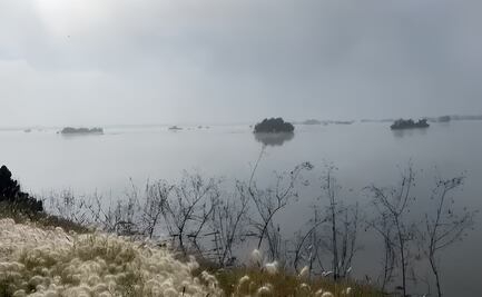 VIDEO: Laguna de Zumpango recupera su esplendor tras meses de sequía