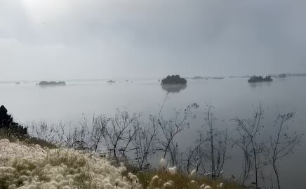 VIDEO: Laguna de Zumpango recupera su esplendor tras meses de sequía