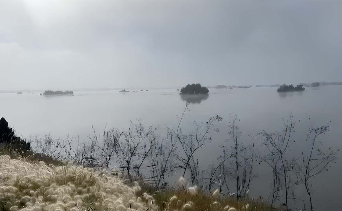 VIDEO: Laguna de Zumpango recupera su esplendor tras meses de sequía