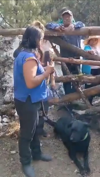 Las mujeres fueron encaradas por los pobladores de Temoaya. Captura de pantalla