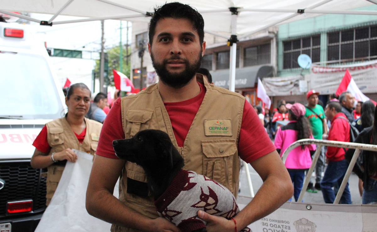 Un acto de amor que roba corazones: mientras los Diablos Rojos jugaban, la Cepanaf lograba un triunfo, conectando a 85 perros rescatados con nuevas familias. Foto: Especial