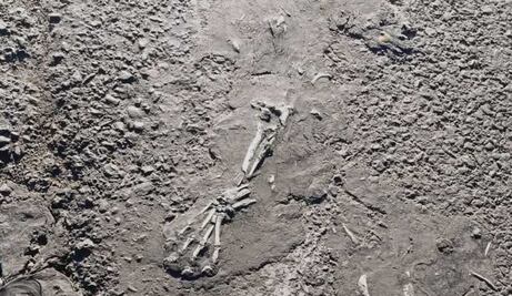 Hallan restos óseos en carretera Toluca-Naucalpan