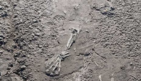 Hallan restos óseos en carretera Toluca-Naucalpan