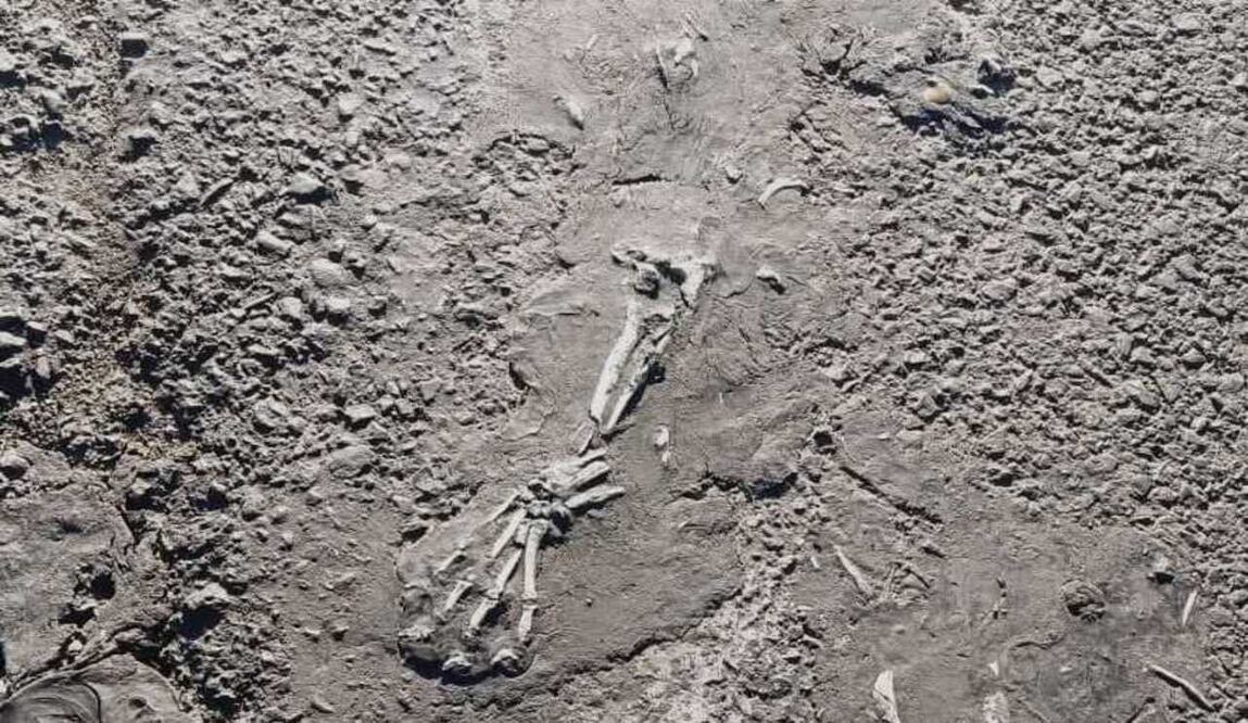 Se procedió a acordonar y resguardar la zona, lo cual causó asombro entre los pobladores. Foto Especial