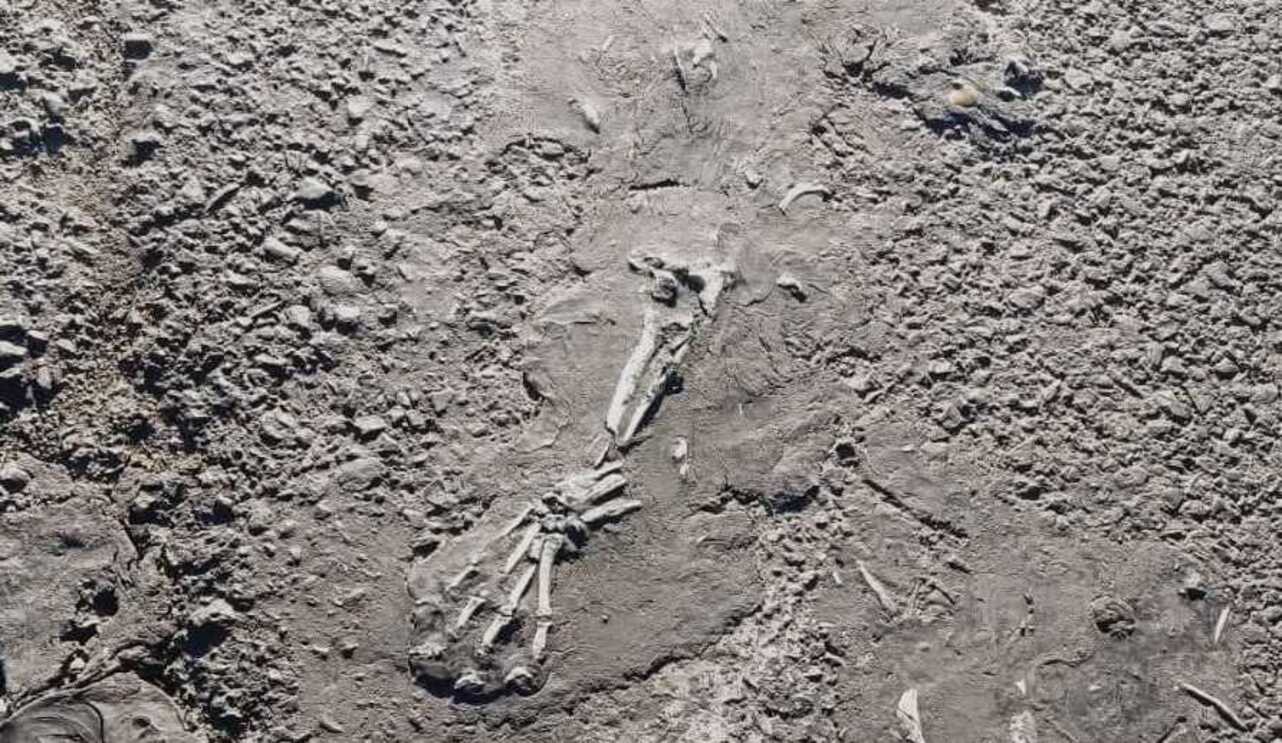 Hallan restos óseos en carretera Toluca-Naucalpan