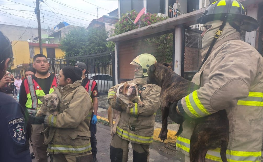 El ataque ocurrió en un domicilio ubicado en la esquina de Valle de los Toltecas y Valle de Cuitzeo, en la colonia Fuentes de Aragón. Foto Especial