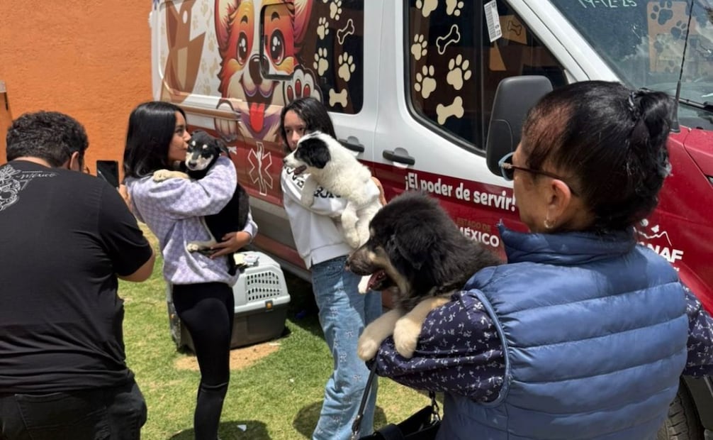 En Zinacantepec, los cachorros cuentan con supervisión médica constante para asegurar que lleguen sanos a sus nuevos hogares. Foto Especial