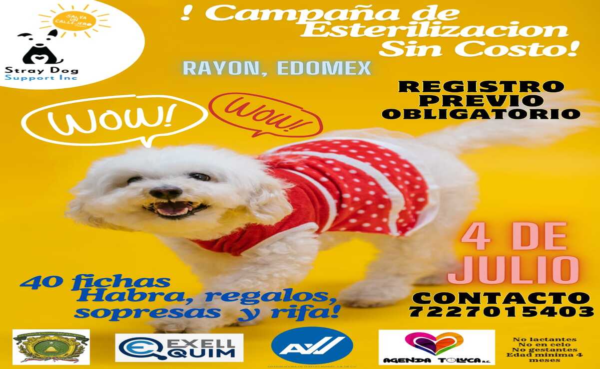 La campaña es completamente gratuita / Foto: Especial