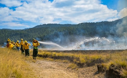 ¡No seas el inicio del fuego! Probosque lanza alerta roja por incendios en Edomex