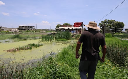 ¡Viviendo al Límite!: Temporada de lluvias desata alerta de inundaciones en San Lucas Tunco