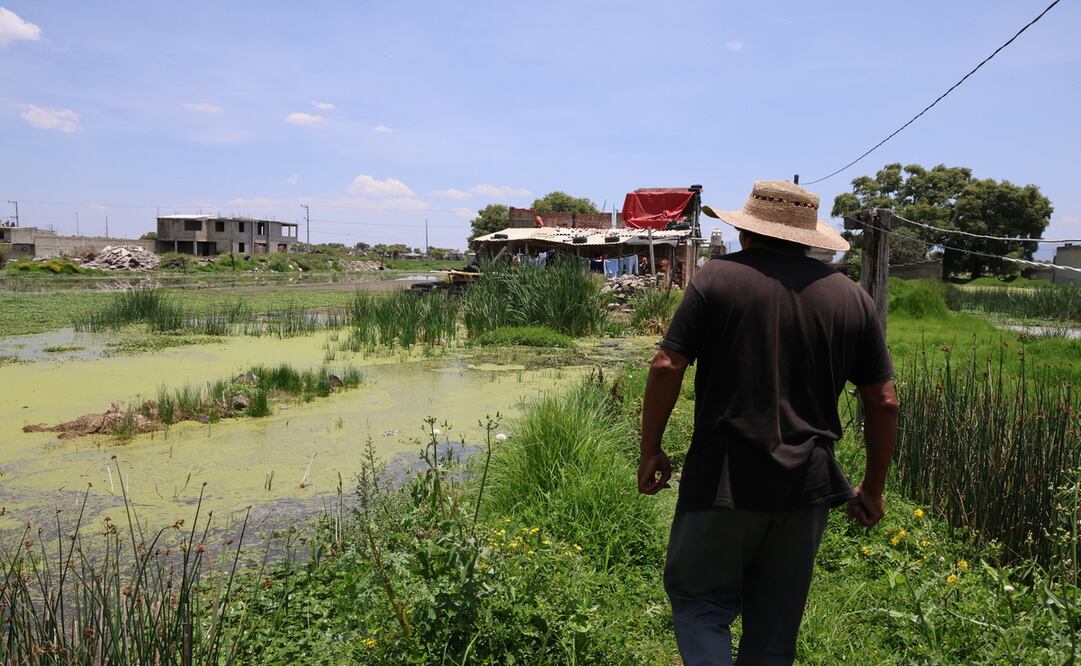 San Lucas Tunco es una de las colonias agrarias subsistentes, cuya realidad contrasta con el resto de Metepec. Foto: Sergio García / El Universal Estado de México