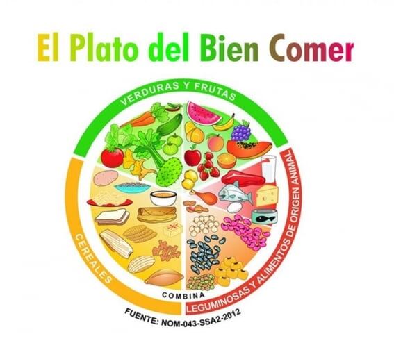 El Plato del Bien Comer es una herramienta clave para promover hábitos alimenticios sanos en tres grupos: frutas y verduras, cereales y alimentos de origen animal. Foto: Especial