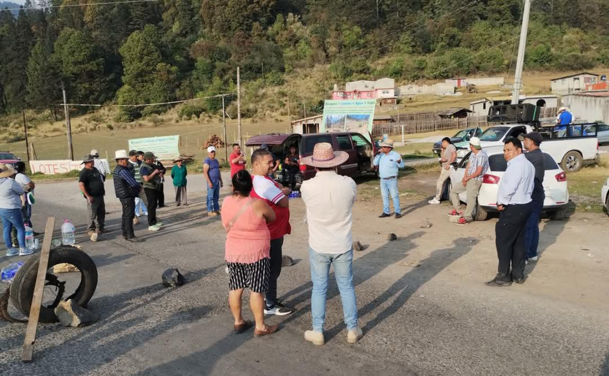 El silencio cómplice: la tala ilegal devora Ocuilan mientras las autoridades no actúan. Foto: Especial