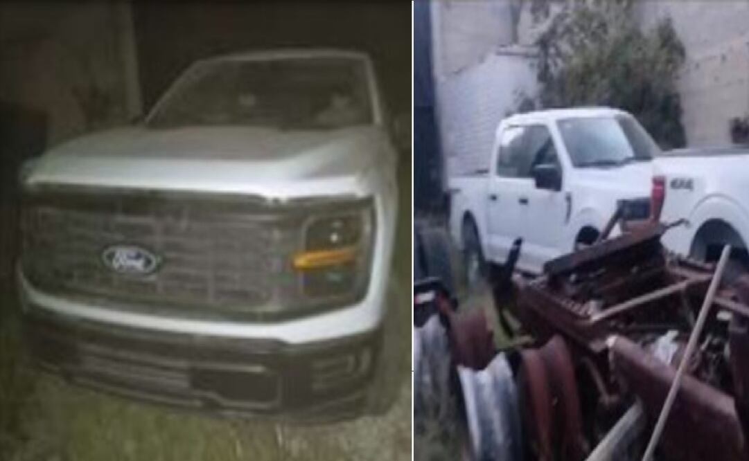 En la acción, se resguardó el predio donde estaban tres de los automotores y dos vehículos de carga cuya procedencia será investigada. Foto: Especial