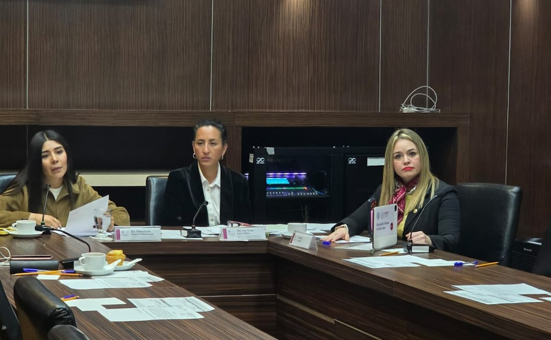 Diputadas de diversas bancadas se unen para que el Estado de México deje de ser referente en impunidad por feminicidios. Foto Especial