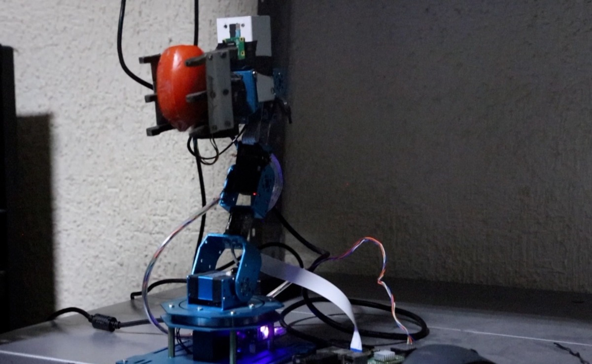 ¡Ingenio Tecnológico! UAEMéx Texcoco crea robot inteligente para cosechar jitomates