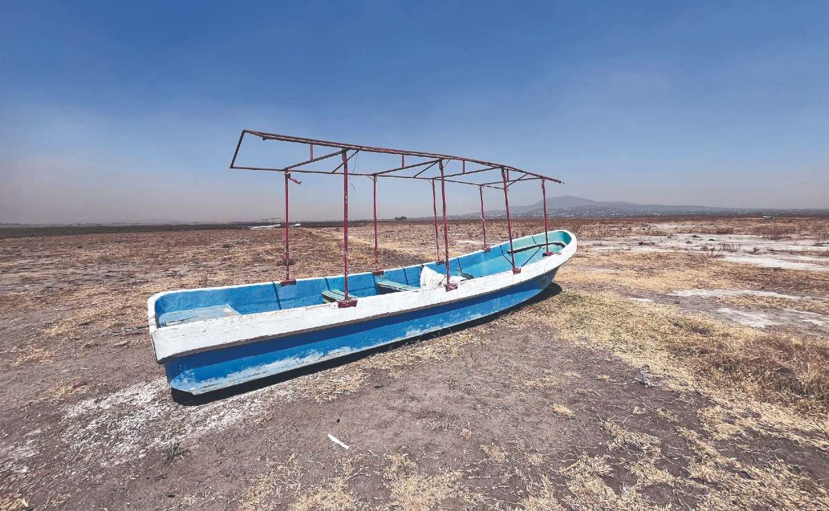 Los lancheros también deben ayudar al saneamiento de la laguna / Foto: Arturo Contreras