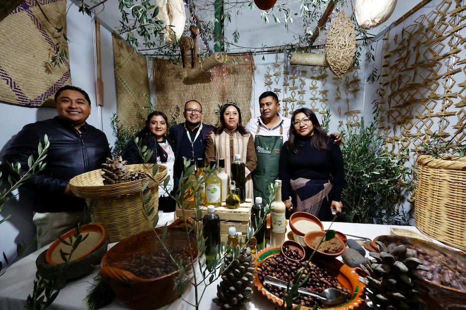 La cosecha se realiza manualmente y los productores cultivaban variedades como Gordal, Picual, Arbequina y Manzanilla sin pesticidas, para obtener aceite de oliva, jabones y pastas untables como el tapenade. Foto: especial