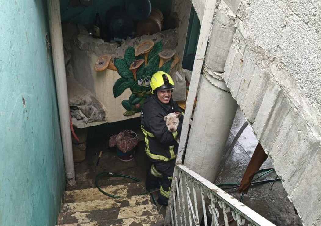 El perro fue puesto a salvo y sin lesiones / Foto Especial