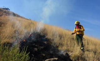 Edomex encabeza lista nacional de incendios forestales: Van 329 siniestros en 2026