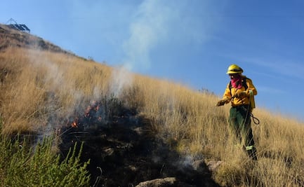 Edomex encabeza lista nacional de incendios forestales: Van 329 siniestros en 2026