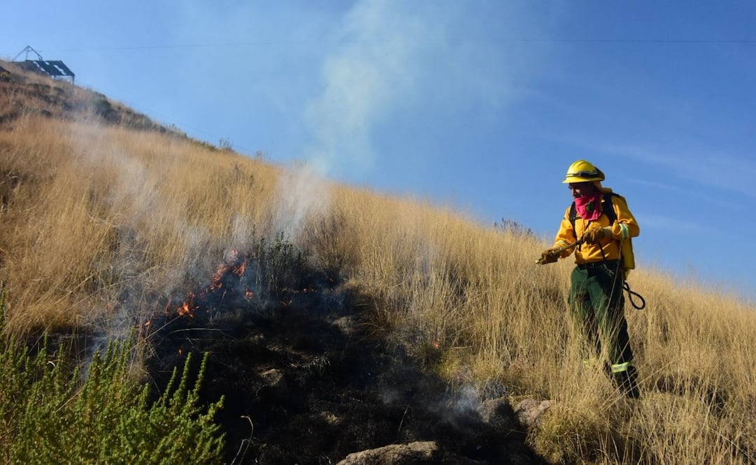 Brigadistas de Probosque y SEDENA trabajan en el control de quemas agrícolas que se propagan a zonas forestales. Foto Especial