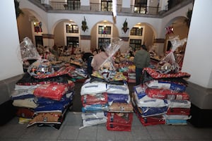 ¡Misión cumplida! Delfina Gómez y mexiquenses logran cifra récord en colecta para refugios de "lomitos y michis"