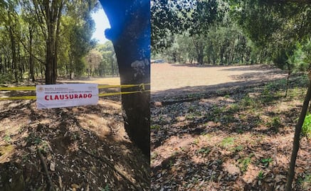 Profepa clausura predios en Valle de Bravo, Morelos y Zinacantepec; detecta irregularidades en materia forestal 