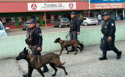 ¡Toluca blindada en Semana Santa! Despliegue de 600 policías y flota vehicular para tu seguridad