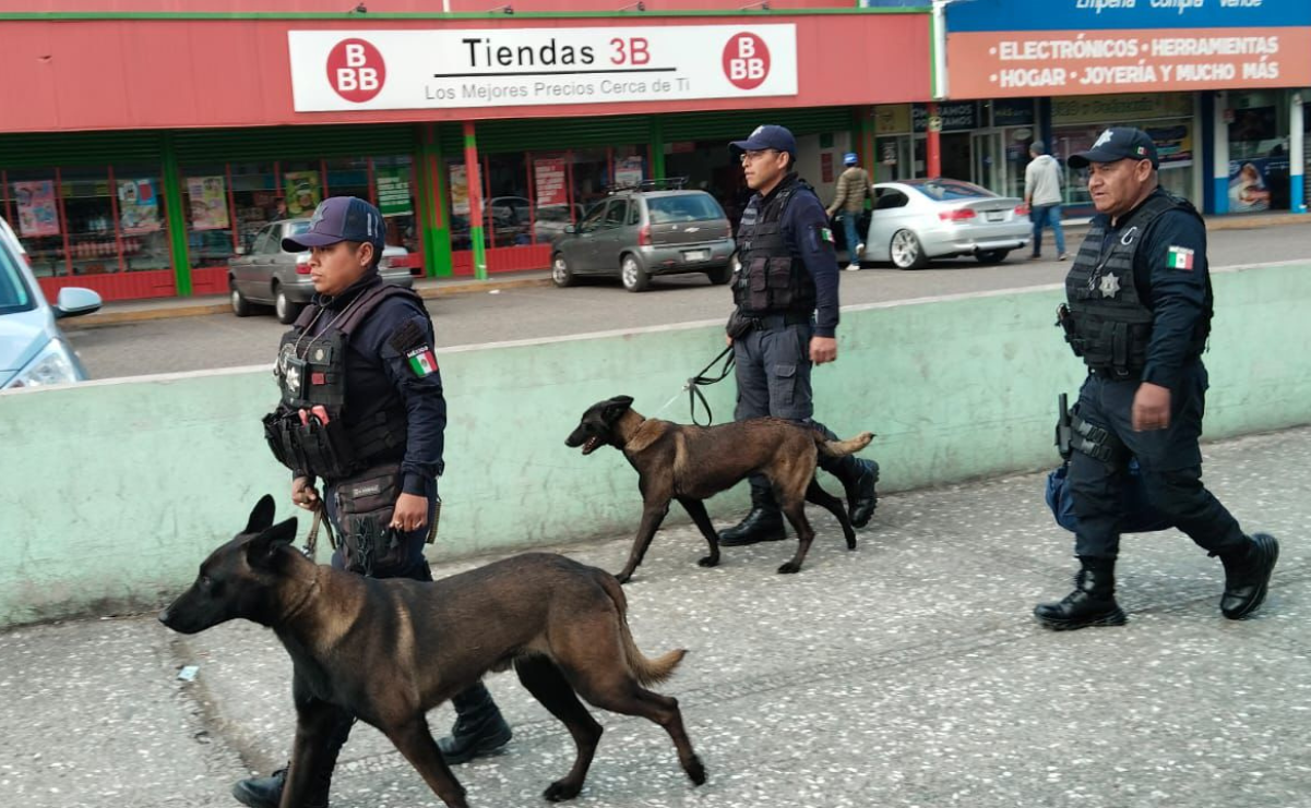 ¡Toluca blindada en Semana Santa! Despliegue de 600 policías y flota vehicular para tu seguridad