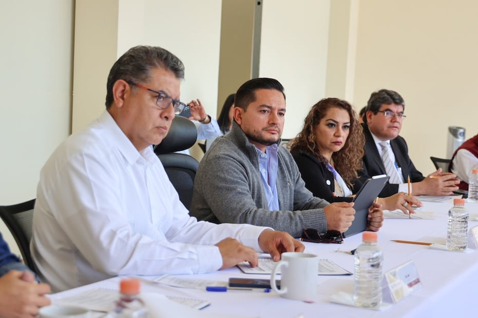 Las solicitudes son analizadas por un Consejo Dictaminador y se resuelven en un plazo máximo de 15 días hábiles.