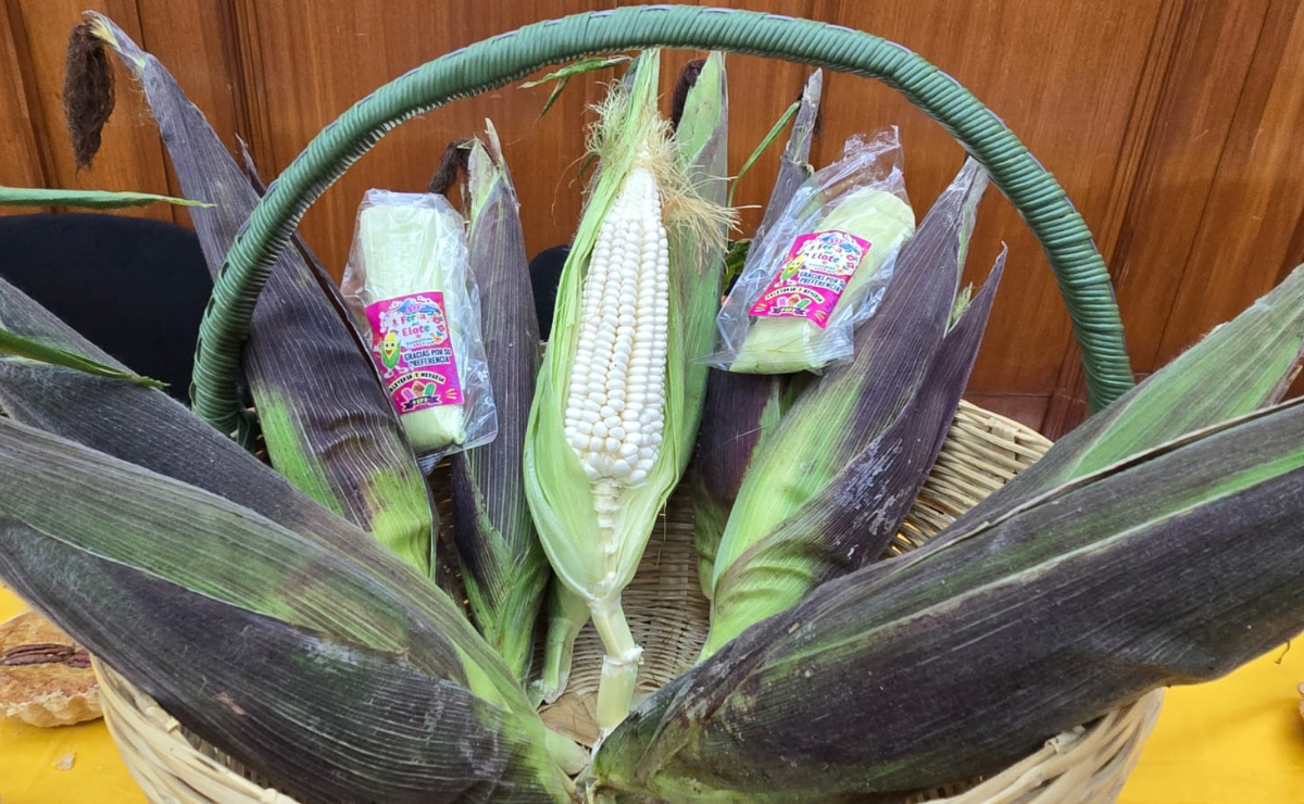¡El elote está de fiesta! La Feria de Cocotitlán celebra 40 años con más de 300 productos de maíz