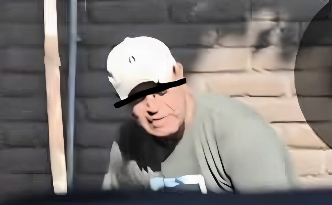 Video viral muestra a un hombre incitando a sus perros a atacar gatos comunitarios en Naucalpan; vecinos exigen justicia. Foto: Especial