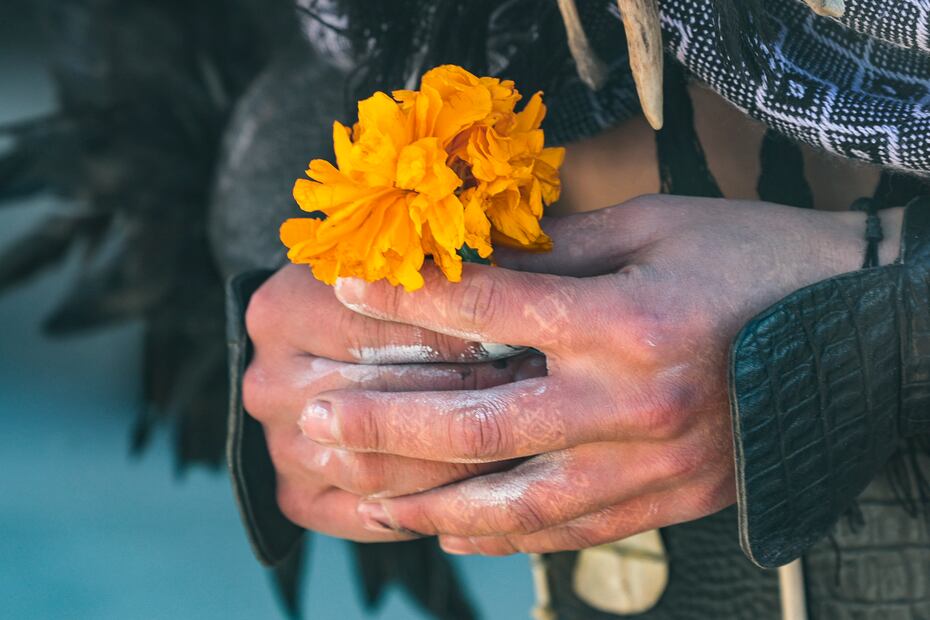 Este año, los 700 productores de San Francisco Putla sembraron 400 hectáreas de flores, de las que esperan obtener más de 500 manojos de ocho kilos cada uno. Foto: Alejandro Vargas/ El Universal
