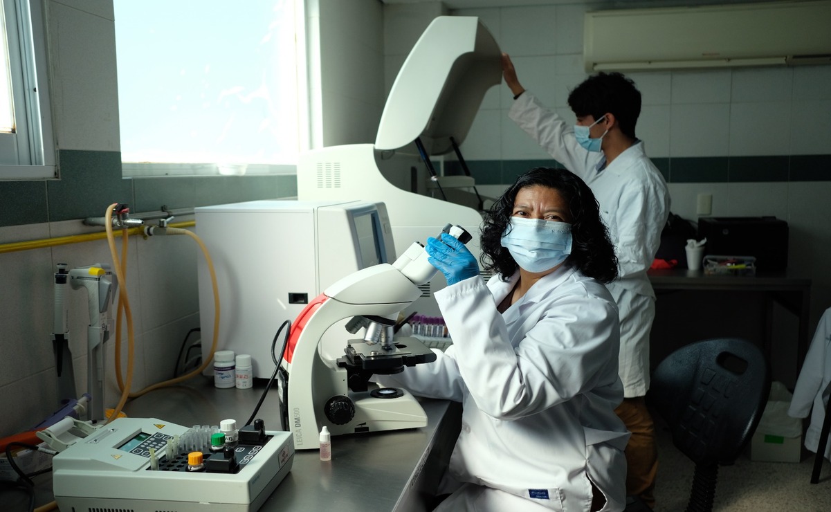 ¿No tienes seguro médico? Conoce cómo puedes acceder a atención médica gratuita con el programa IMSS-Bienestar