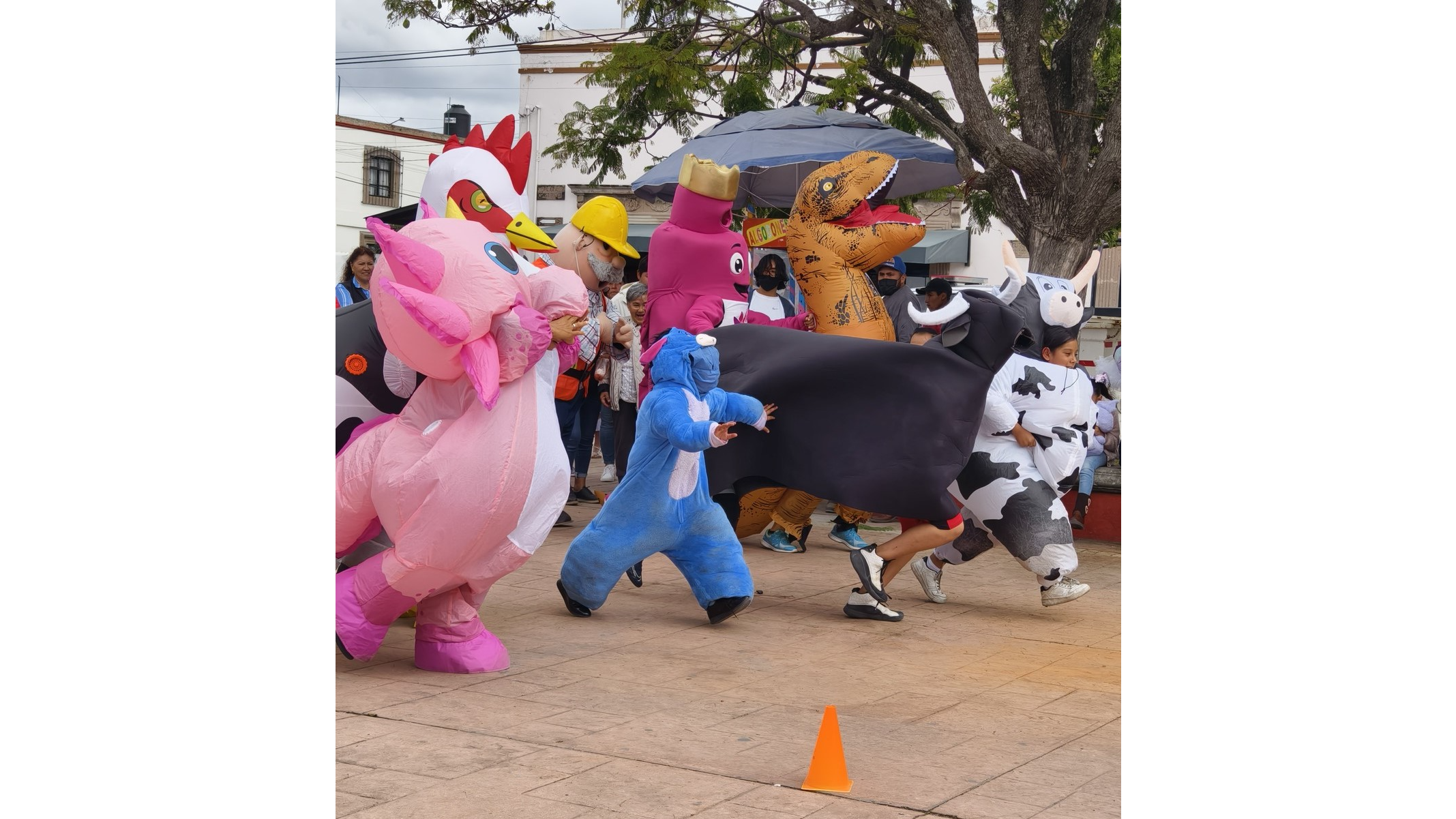 En la carrera con obstaculos participaron personas con botargas de distintas temática y  personajes como el Dr. Simi, un Ajolote, una vacas, un toro, un gallos, hasta T-Rex. Foto: Feria de Polotitlán 2024 / FB