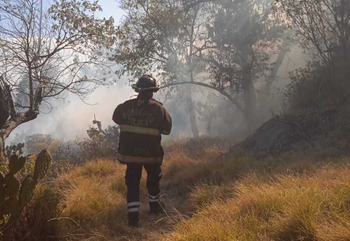 Se registró un incendio en el Cerro de la Teresona, en Toluca, generando preocupación por la posible afectación a la masa forestal. Foto Especial