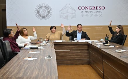 Analizan ley para garantizar acceso de animales de asistencia a establecimientos y transporte del Edomex