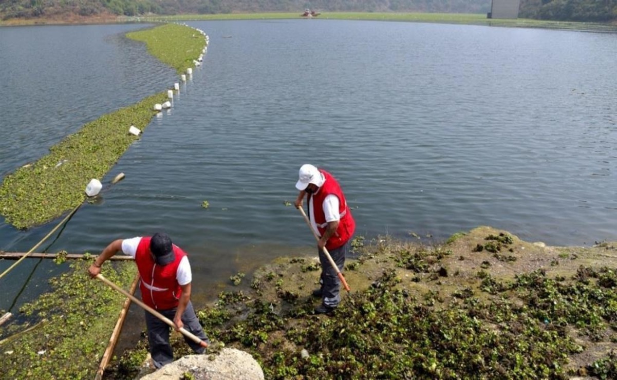 Como parte de los trabajos de mantenimiento se implementó un proyecto para mejorar la calidad del agua / Foto: Especial