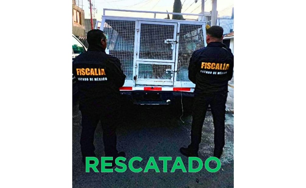 La Fiscalía mexiquense continúa las investigaciones para identificar a los responsables. Foto especial